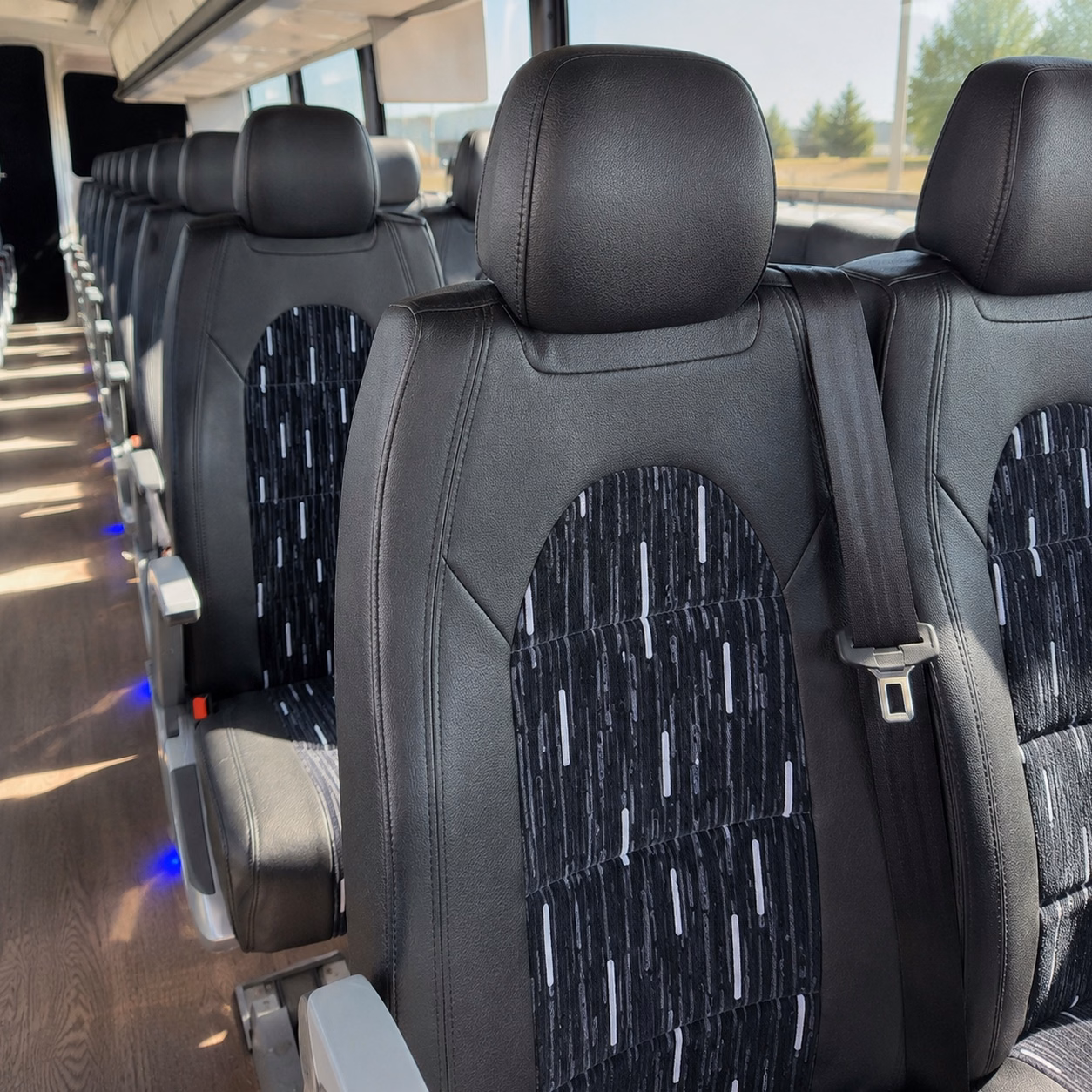 game day charter bus rentals for gamecock fans in columbia